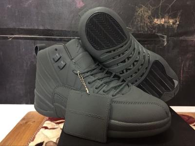 Air Jordan 12-236